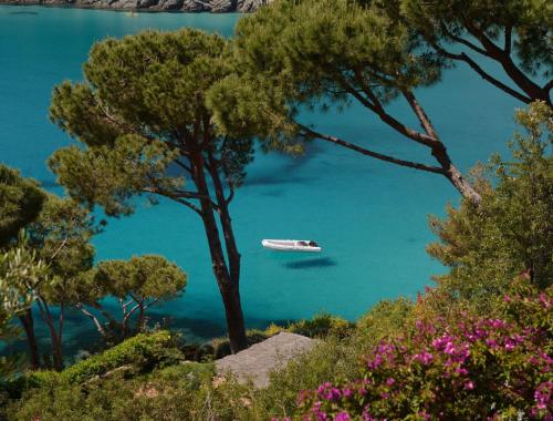 Elba