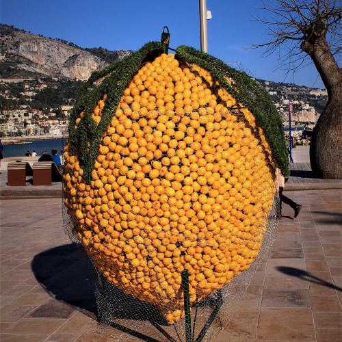 Menton - La fête du citron