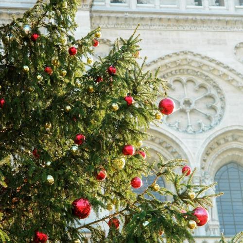Christmas in Paris