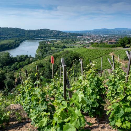 La Vallée du Rhône