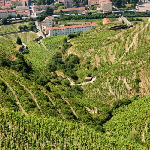 La Vallée du Rhône