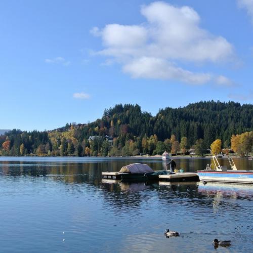 Lake Titisee