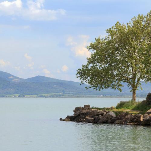 Lake Trasimeno