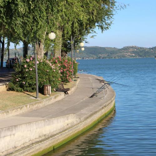 Lake Trasimeno