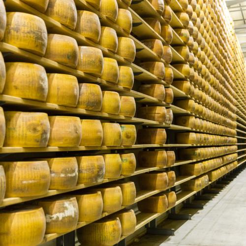 Parmigiano Reggiano Museum