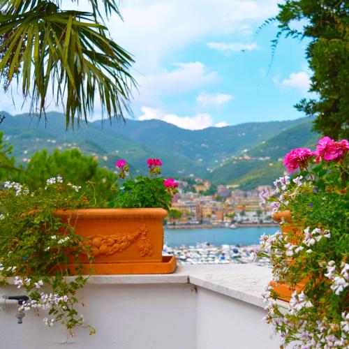 Rapallo