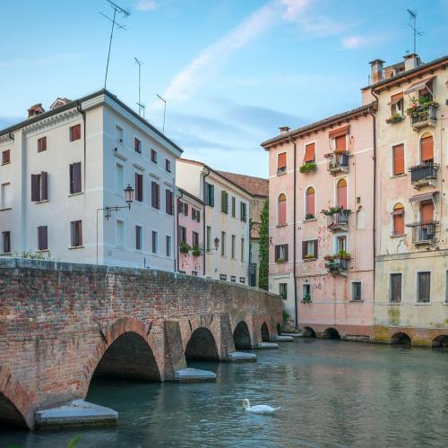 Treviso