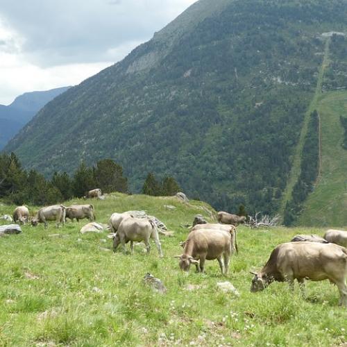 Exploration des Pyrénées: Andorre